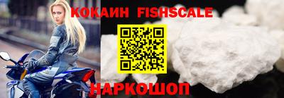 дмт Кингисепп